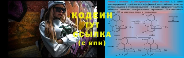 шишки Тында