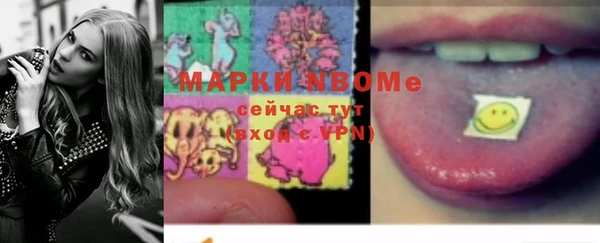 шишки Тында