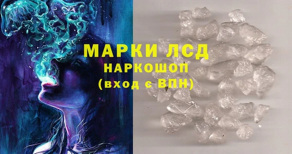 шишки Тында