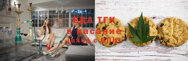 дурь Заводоуковск