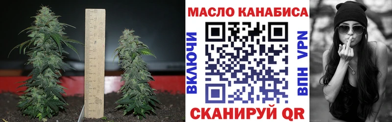 Купить закладки  Сибай  ТГК концентрат 